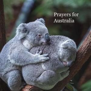 Meet your Posher, Charlene